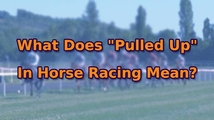 What Does "Pulled Up" In Horse Racing Mean?